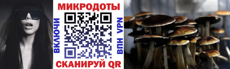 Галлюциногенные грибы Cubensis  гидра онион  Заполярный 